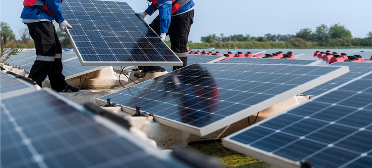 1 MW | Andhra Pradesh, India